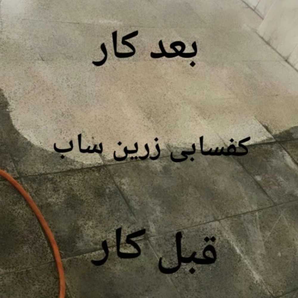 1736318222733.webp